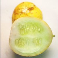 Concombre citron