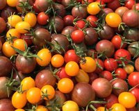 Tomates cerises: 2 + 1 offerte