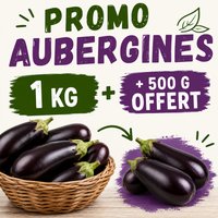 Aubergines: 1kg + 1/2kg offert