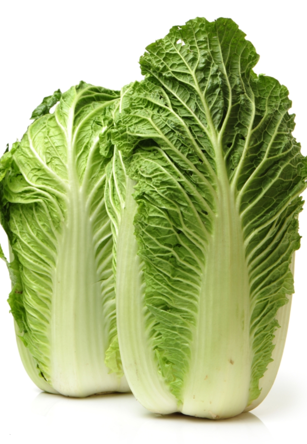 Chou Chinois (taille moyenne)