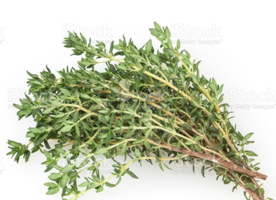 Thym citronné