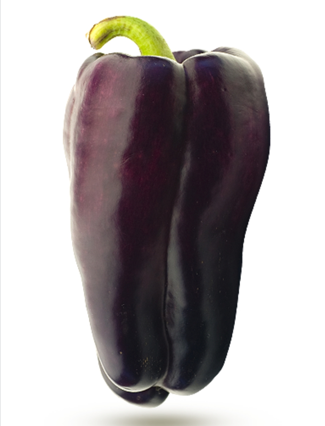 Poivrons violets