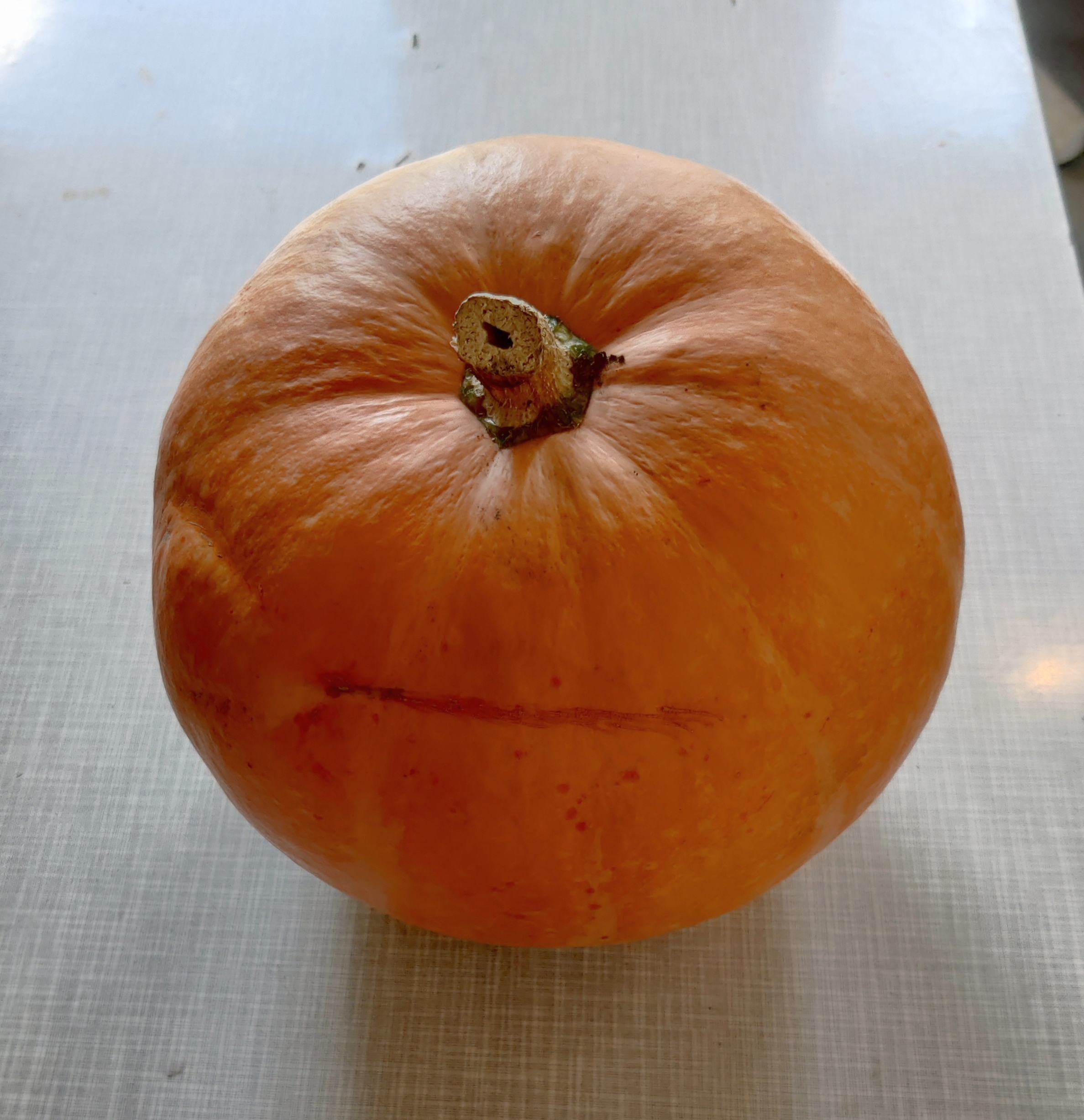Potiron entier, 4kg