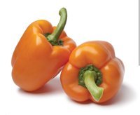 Poivrons oranges